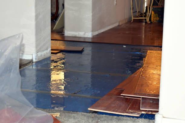Professional Basement Water Removal technician working in Larue, TX